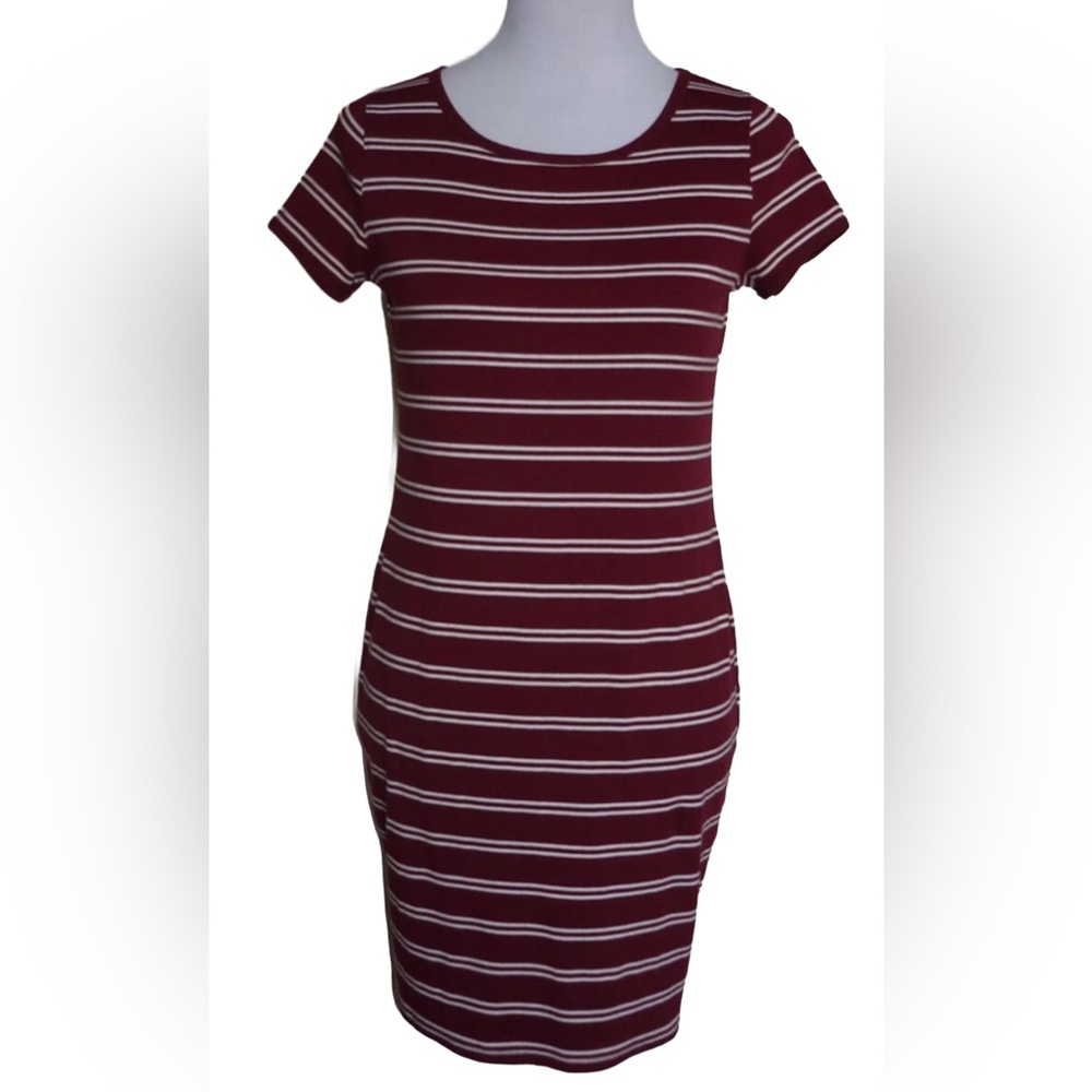 Wild Fable Striped Maroon/White Dress